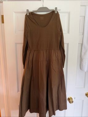 Everlane Casual Long-Sleeve Brown Midi Dress